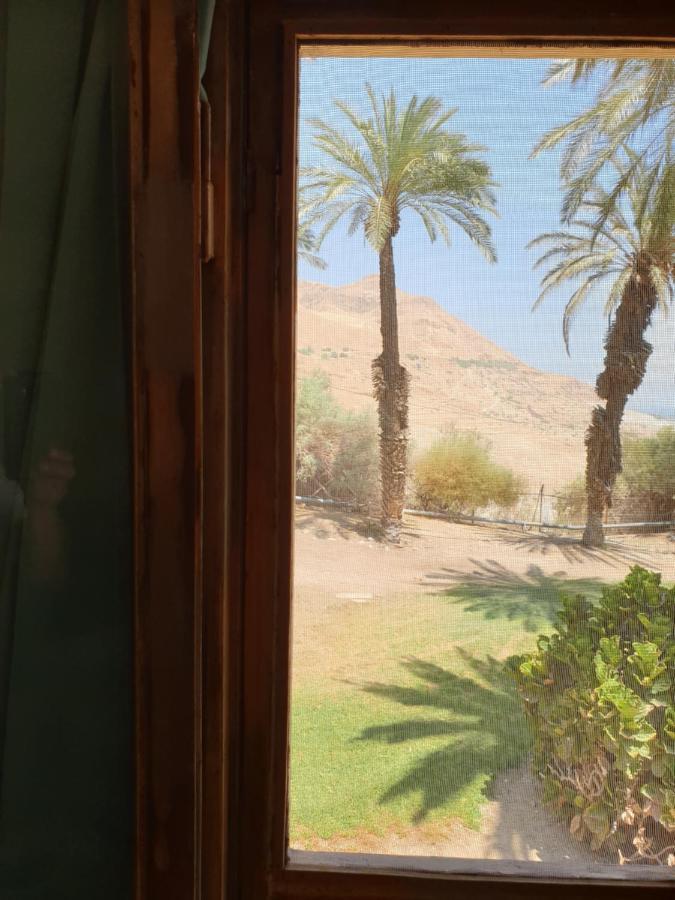 הצימר של יהושע Ein Gedi Exterior foto